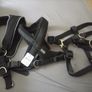 Dog bundle Image 8