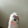 Squishmallow mini unicorns & cats plush Image 4