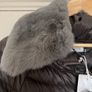 Oltre padded jacket BNWT 189 RRP Image 5