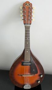 eko electric mandolin