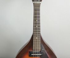 eko electric mandolin
