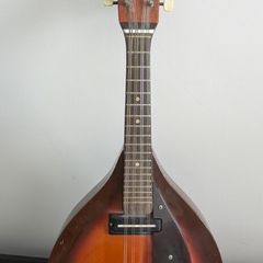 eko electric mandolin