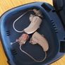 widex 440 hearing aids Image 3