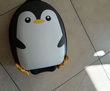 Child's Pull along suitcase