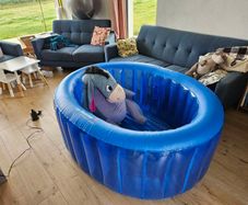 Birthing Pool