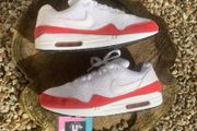 Rare Nike Air Max 1 OG Vintage Anniversary