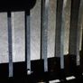 2001 2002 2003 2004 2005 2006 BMW 3 Series E46 Right RH Front Kidney Grill OEM Image 2