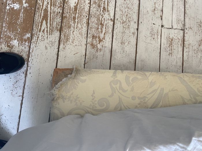 bedbase king