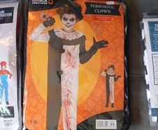 halloween costume
