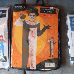 halloween costume