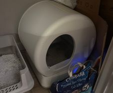Self cleaning cat litter tray