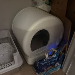 Self cleaning cat litter tray