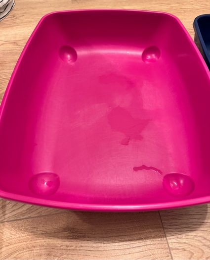 cat litter