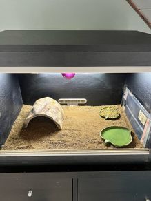 Vivarium