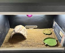 Vivarium