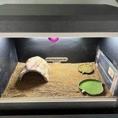 Vivarium