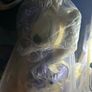 Limited Edition Monster Hunter Rise Plush Palamute Dog Wolf Image 8