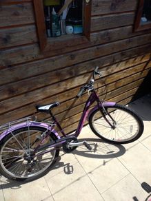 Mountain bike