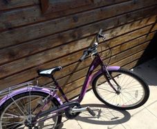 Mountain bike