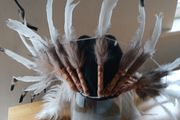 Stunning Native Indian Head Piece