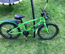 Frog 55 20" Children's Bike
