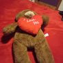 teddy Image 2