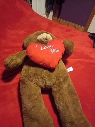 teddy