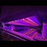 Custom build aquarium 370 liter +sump extras Image 7