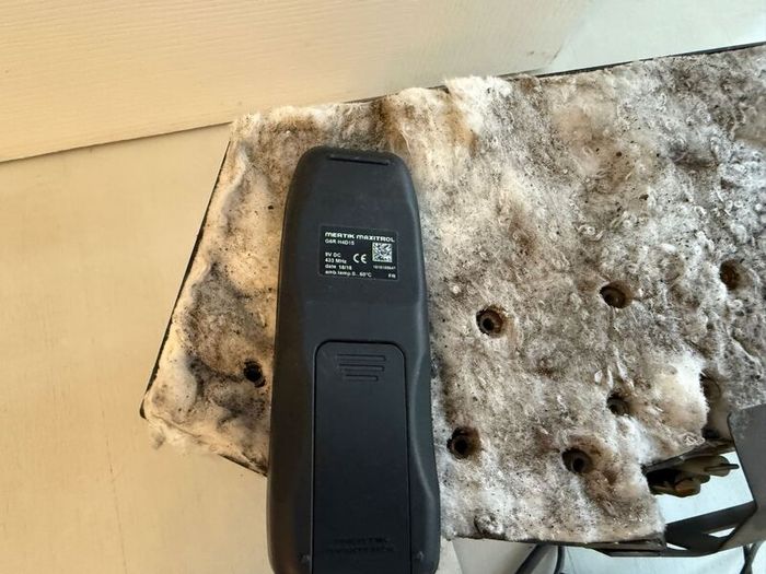 Remote Control Gas Fire Insert