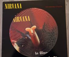 Nirvana 12" Limited Edition Picture Disc - In Bloom