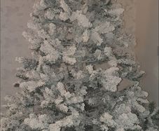 xmas tree