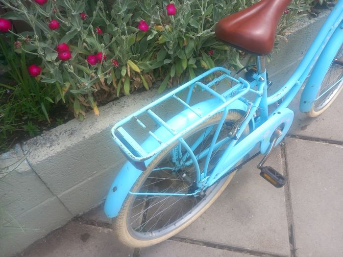 teenager bike