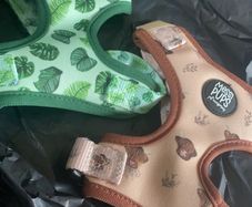 dog harness