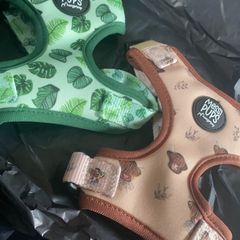 dog harness
