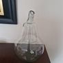 terrarium  3" Image 2
