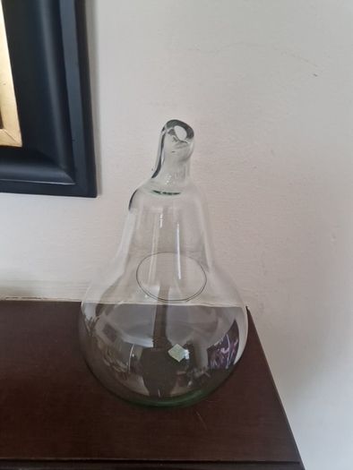 terrarium  3"