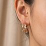 Diamonds Champagne Diamond Earrings Image 3