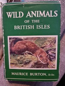 Wild Animals of the British Isles - Maurice Burton