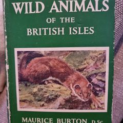 Wild Animals of the British Isles - Maurice Burton