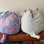 2 Squishmallows big size Image 2