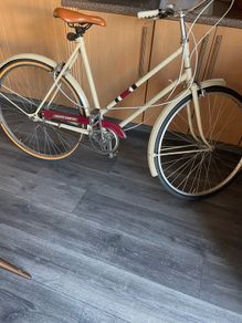 ladies bike
