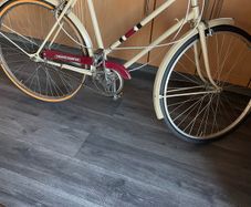 ladies bike