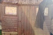 shed / wood