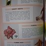 The Pest & Weed Expert / Dr. D.G. Hessayon / 2007 Image 6
