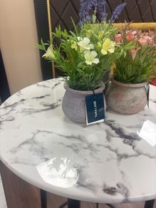 Pot