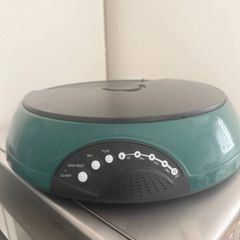 Automatic food dispenser