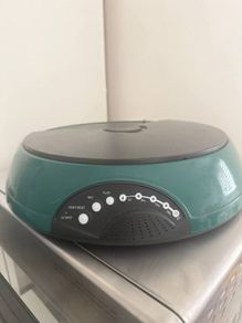 Automatic food dispenser