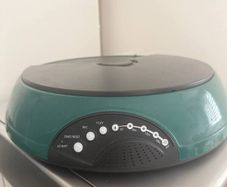 Automatic food dispenser