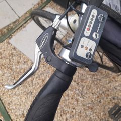 Hybrid giant bike