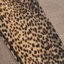 Animal print Ruched bum leggings with belt loops, size 10 Image 4